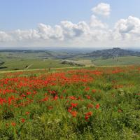 Sancerre, en été.
