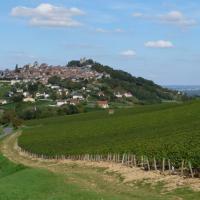 Le vignoble sancerrois.