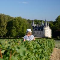Le pouillysois